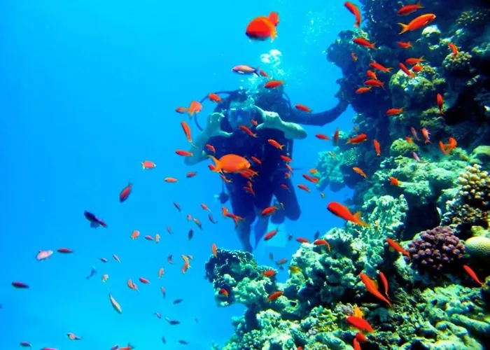 Fanadir Bay & Aqua Park 4* Hurghada